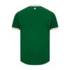 Ireland Home World Cup Football Shirt 2026 - View 2